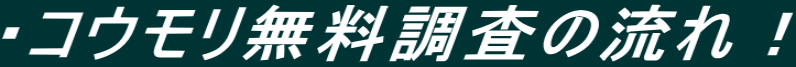 ・コウモリ無料調査の流れ!