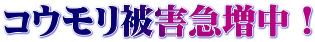 コウモリ被害急増中!